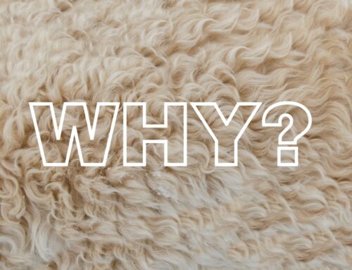 Why Wool?